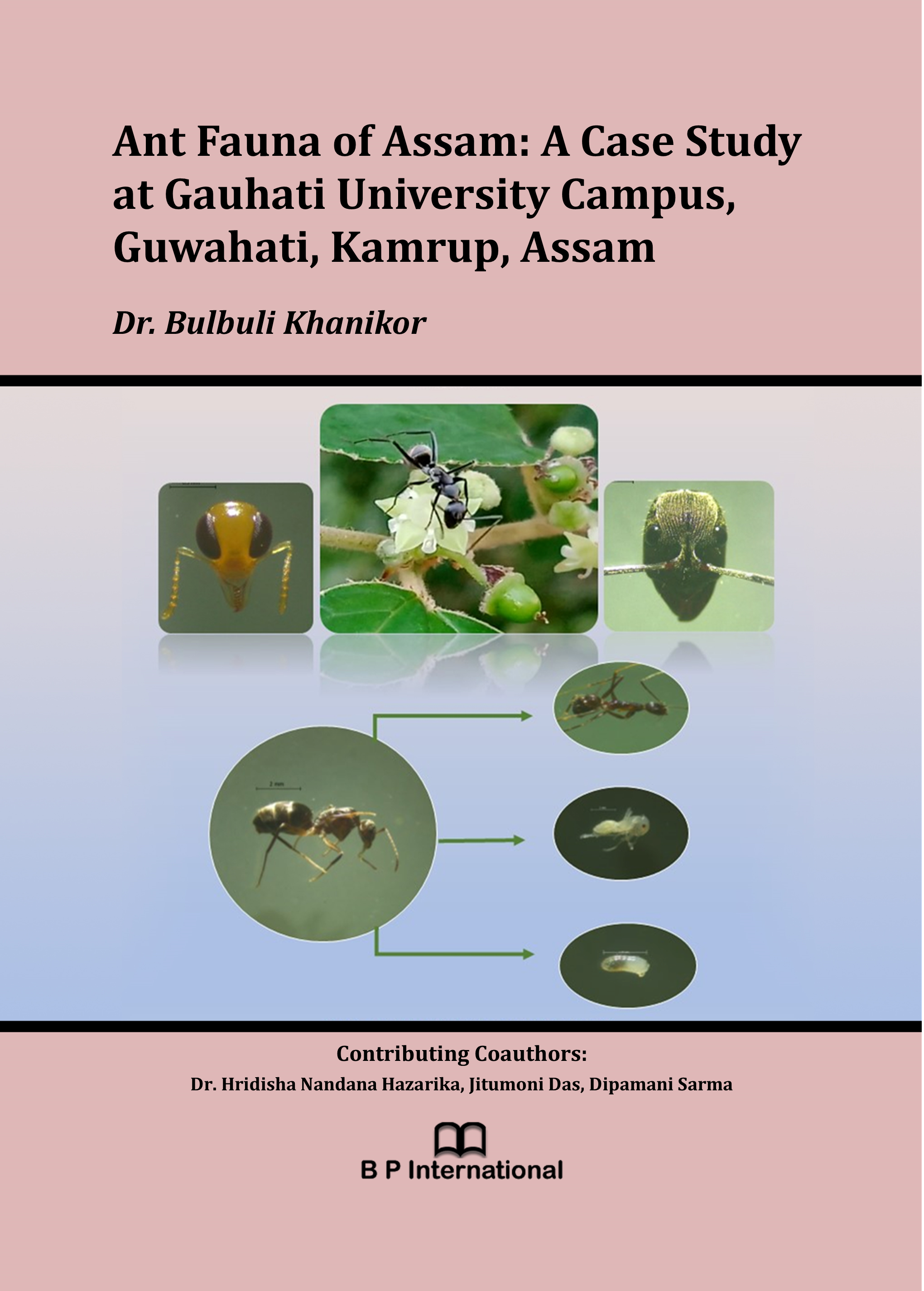 					View Ant Fauna of Assam: A Case Study at Gauhati University Campus, Guwahati, Kamrup, Assam
				